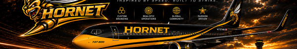 Hornet virtual airline